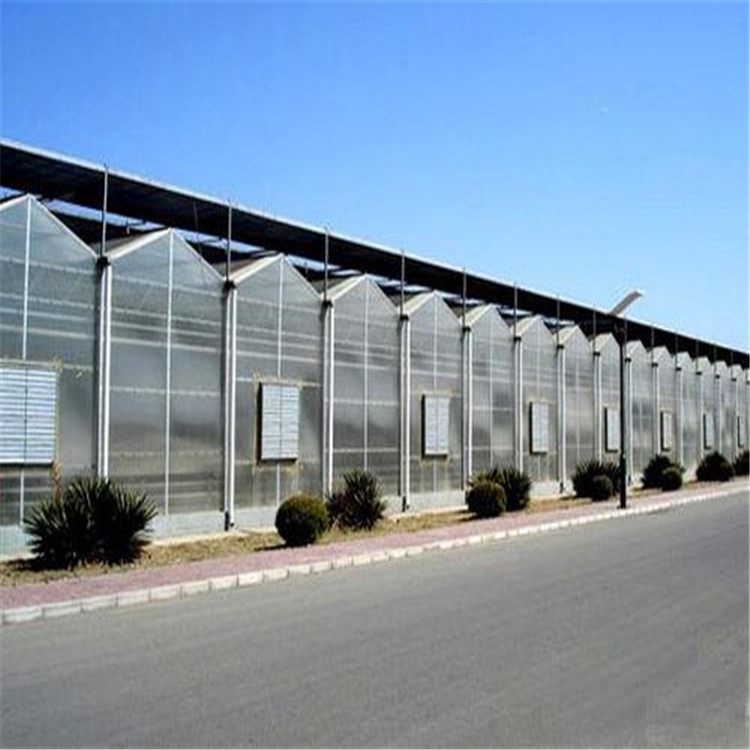 阳光板温室设计 山东文洛型pc温室建造  旭航文洛型pc温室