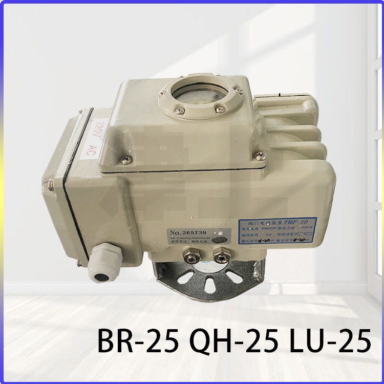 BR-25 QH-25 LU-25 津上伯纳德 锅炉给水金属电动角度调节器 微小电动器 AC220V 结构简单图片