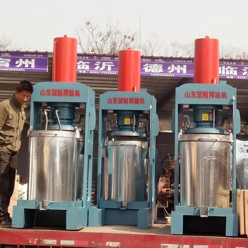 蚌山新型榨油机全套设备 金安液压榨油机生产厂家  多功能榨油机多钱一套