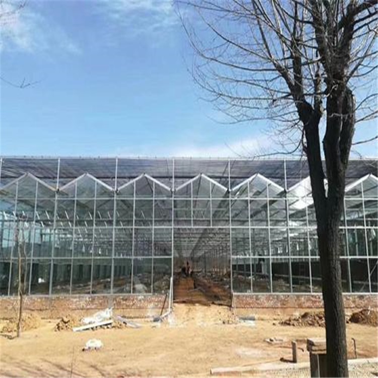 室内玻璃温室大棚造价 福州温室大棚工程公司  旭航温室大棚建造