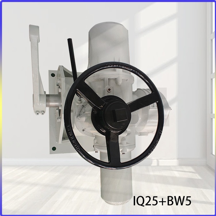 IQ25+BW5 IQ25+BW6 罗托克 直流供电(DC) 自动化调节型电动执行器 带减速涡轮装置式 热销产品