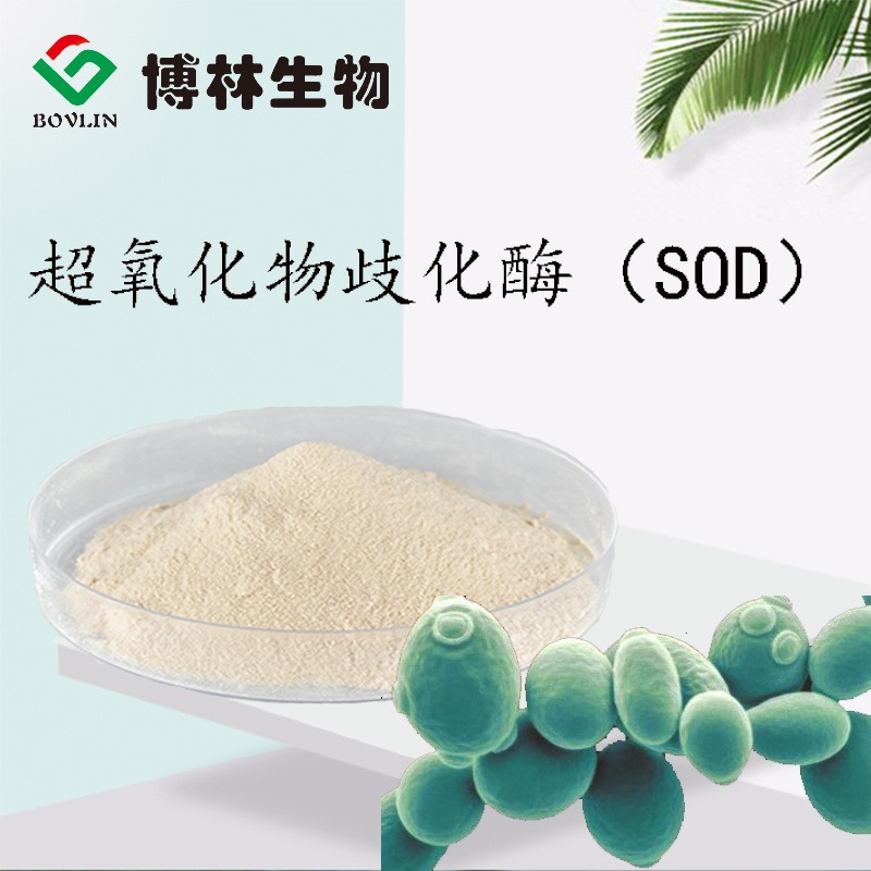 博林生物  SOD   95%  酵母粉 超氧化物歧化霉  微生物发酵物图片