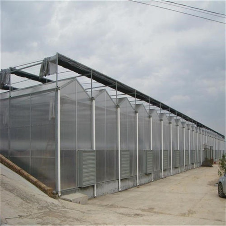 太原阳光板温室建造 智慧农业大棚旭航温室工程建设厂家