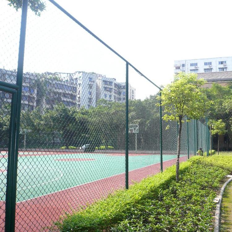 体育球场围网 组装式球场围网 泰亿 网球场围网造价 多种型号