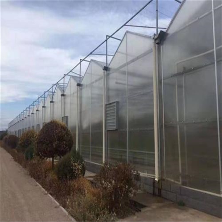 钢结构框架温室玻璃房  江西文洛式玻璃温室
