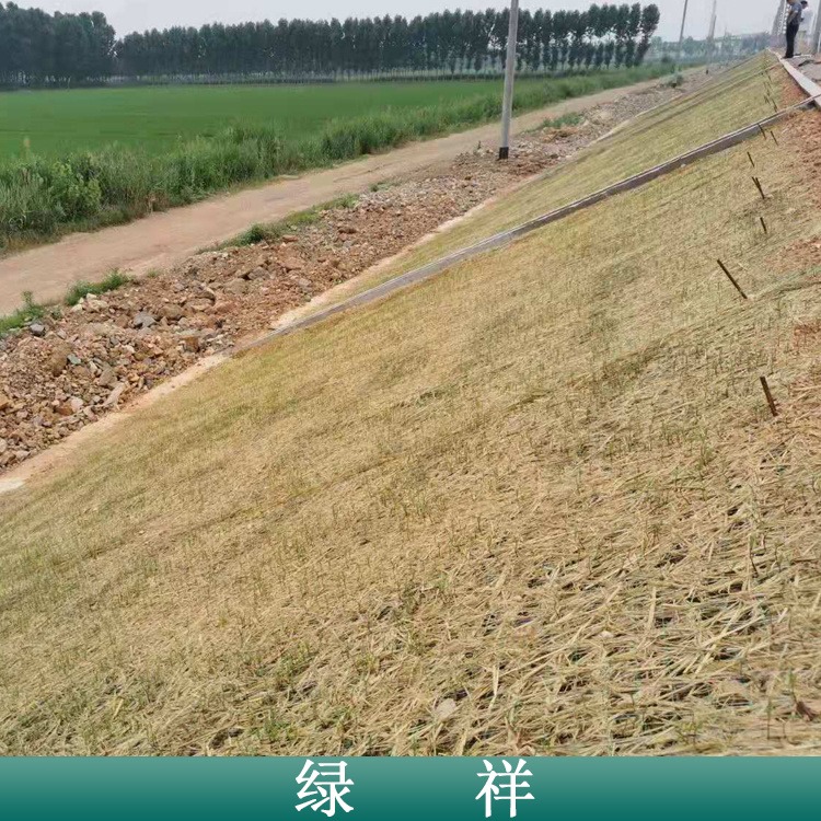 贵州绿化稻草植生毯 贵州植物草毯 绿祥生态草毯