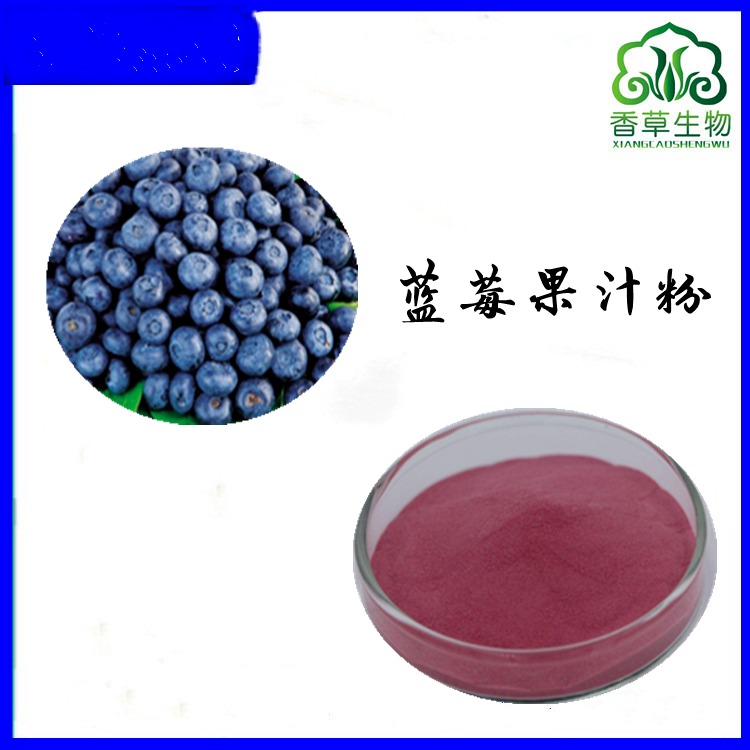 蓝莓果汁粉95%  蓝莓浓缩汁粉 蓝莓果粉 蓝莓汁粉