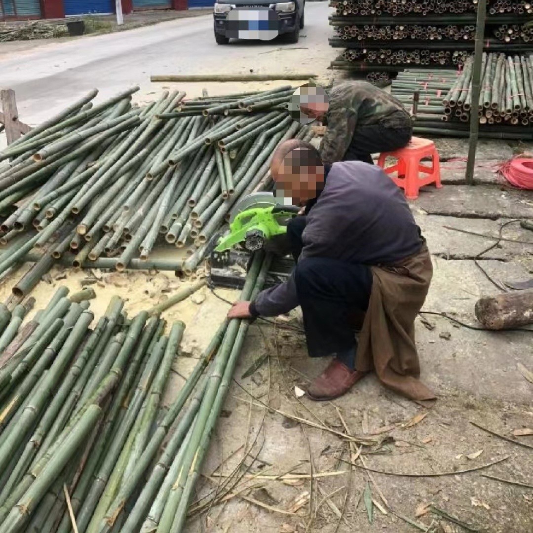 产地直供1米长绿化树木支撑杆扁担撑  毛竹稍  楠竹河道打桩用竹子图片