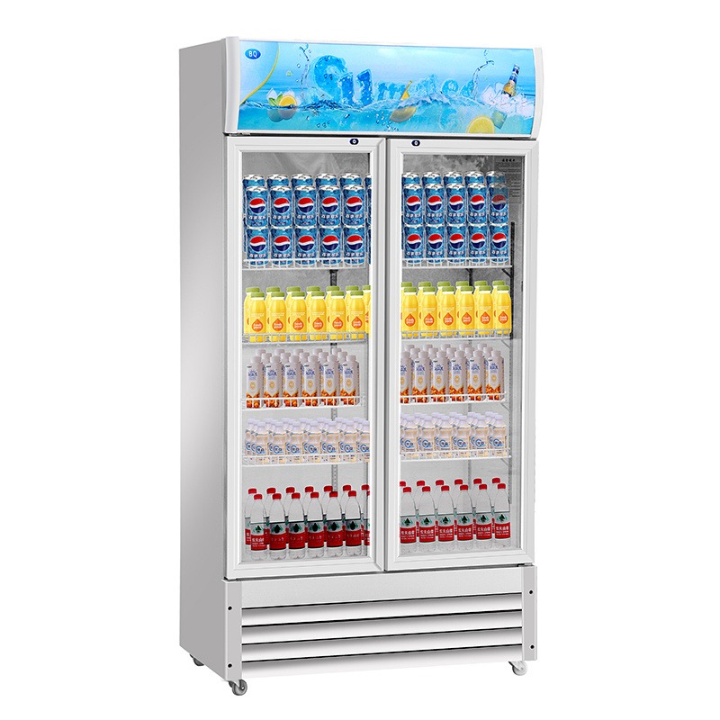 饮料啤酒展示柜 商用冷藏保鲜柜蔬菜水果立式冰柜 便利店单双门冰箱