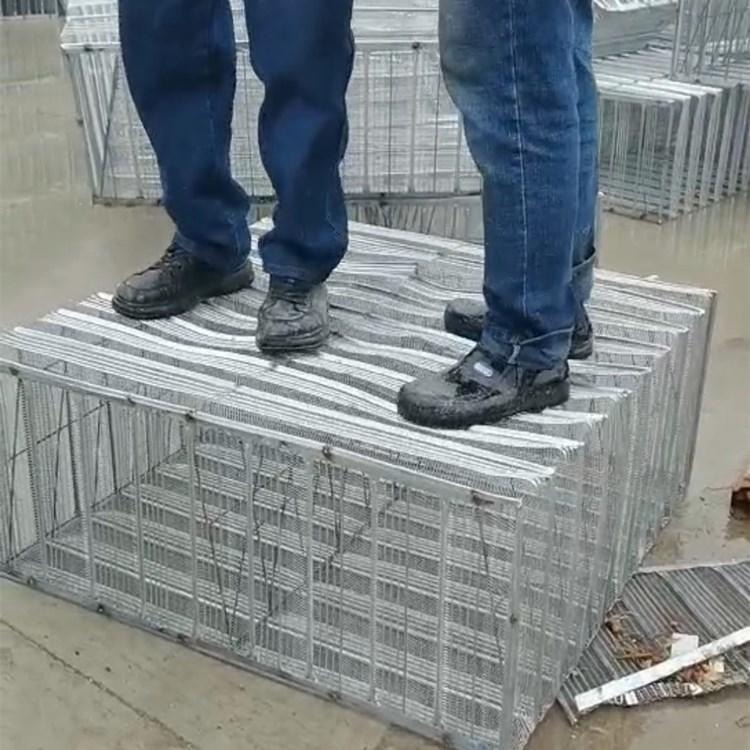 恩兴实体工厂 钢网箱-BDF钢网箱-薄壁箱体空心楼盖