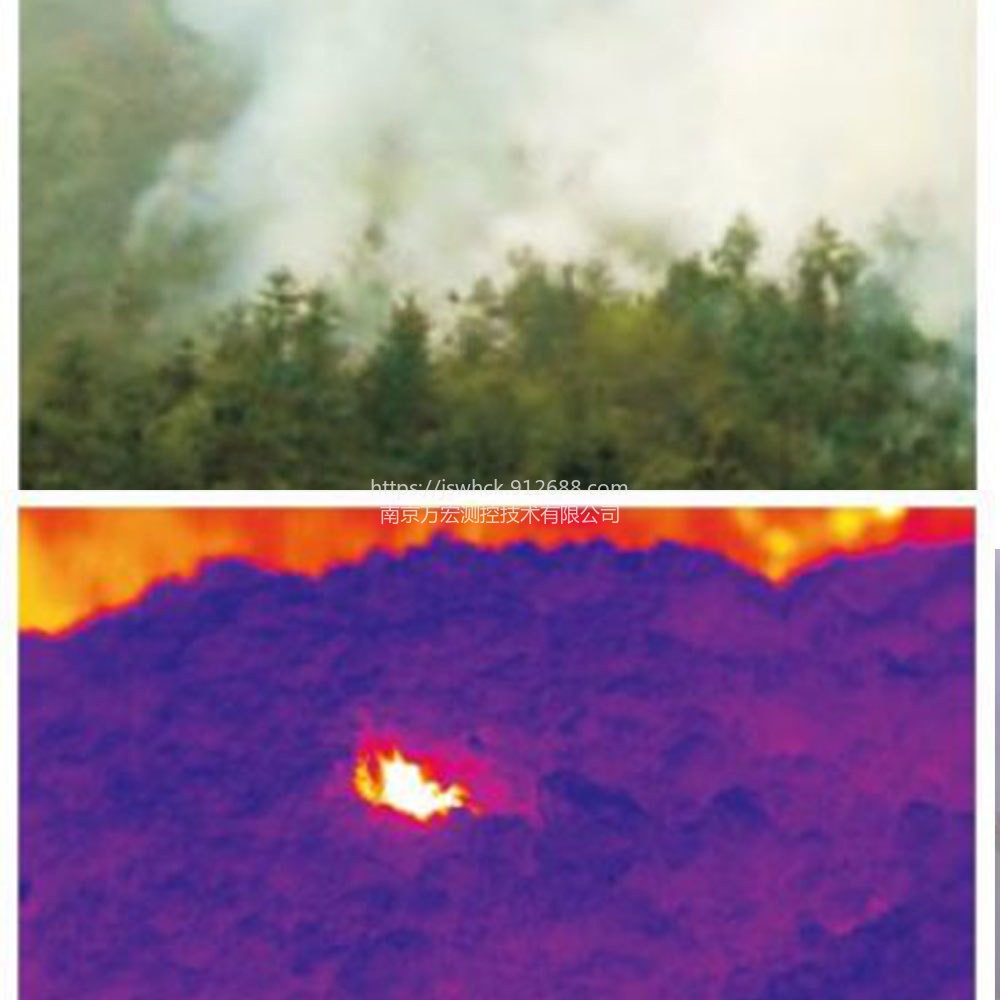园林火警热成像监测预警系统 园林防火监测预警  园林火灾预警 生产厂家 WHCK/万宏测控