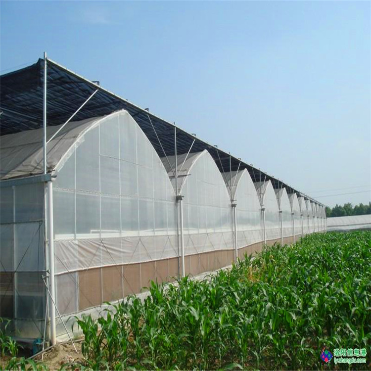 连栋温室棚 外遮阳薄膜连体棚 花卉种植大棚 博利农业 建造