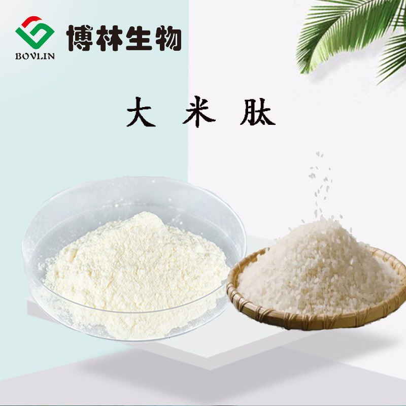 博林生物  大米肽70%   大米提取物   小分子肽  大米低聚肽   大米蛋白粉 可寄样品