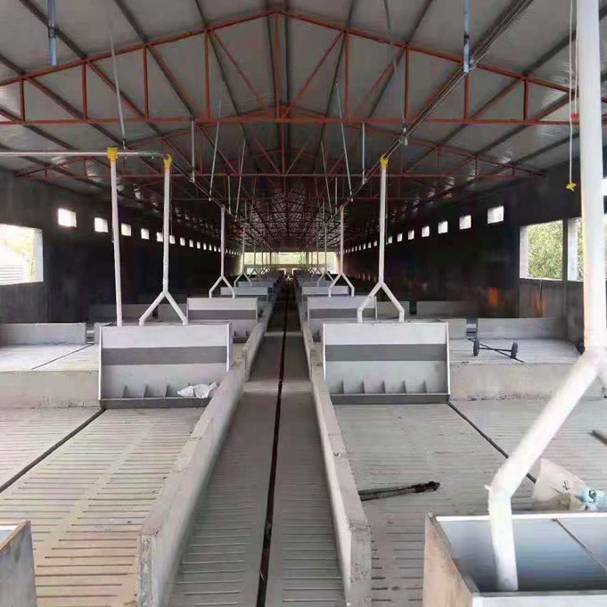 河北自动化养猪设备 猪哈哈 养猪料线 猪场自动喂料线 现场规划设计