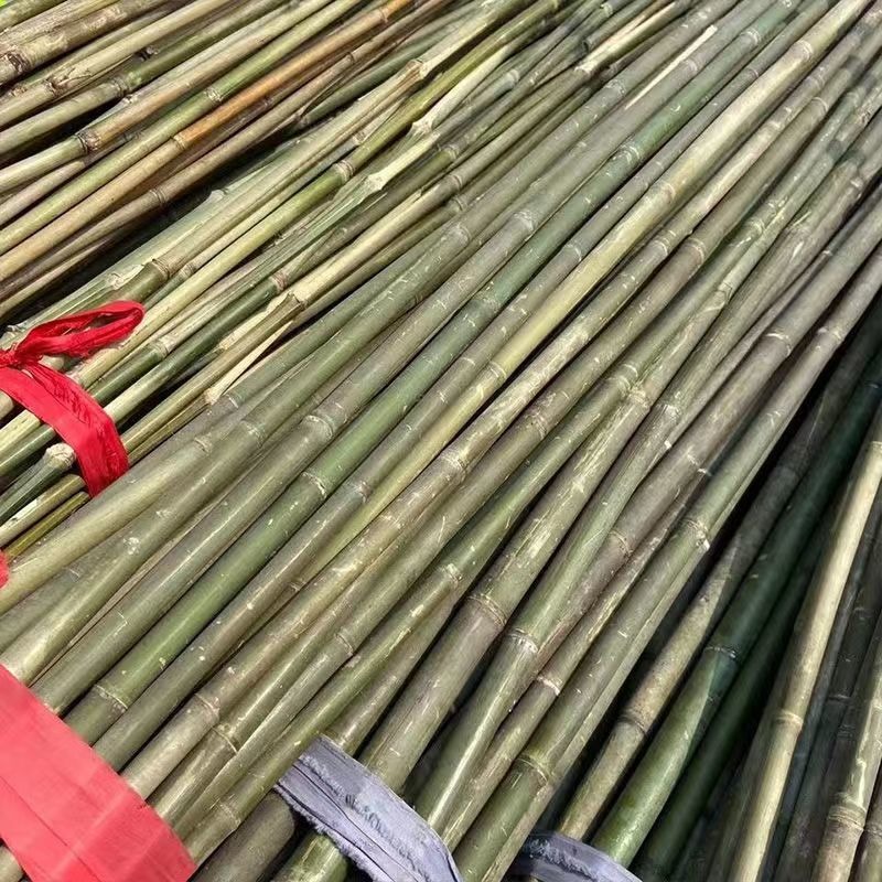 竹韵竹制品厂家插弘旗竹竿 种菜用的竹竿价格 竹杆各种规格可定制