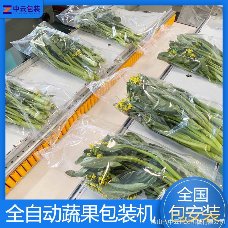 厂家直供商超蔬菜包装机 多功能食品包装机 果蔬保鲜包装机器