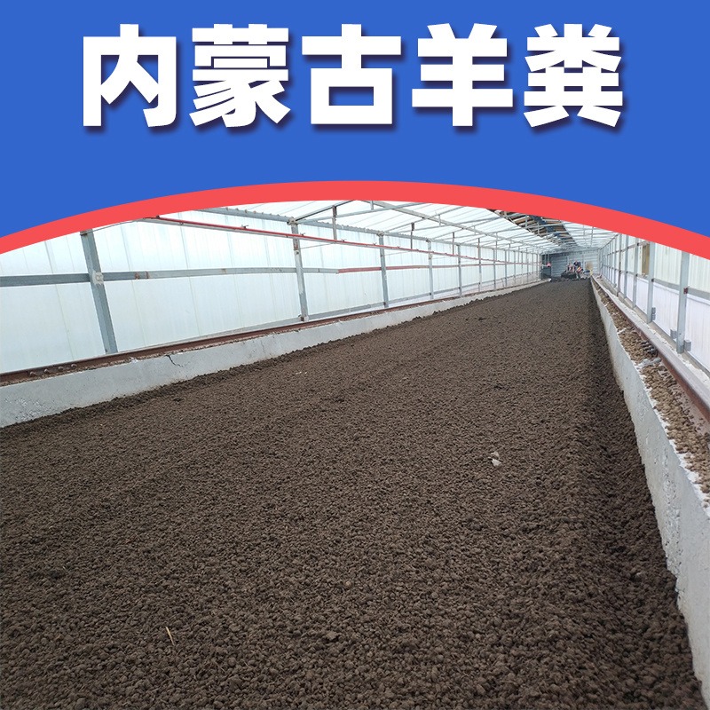 内蒙古发酵羊粪 果树木羊粪有机肥 改良土壤 鸿田农业厂家批发