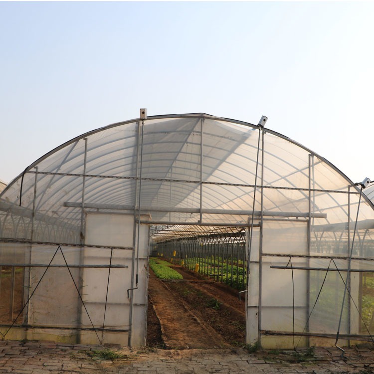 蔬菜大棚骨架 日光温室大棚 蔬菜暖棚 养殖棚智能温室建造