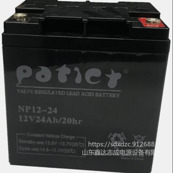 Pafict蓄电池NP12-24派菲克12V24AH免维护铅酸电池直流屏UPS电源电池