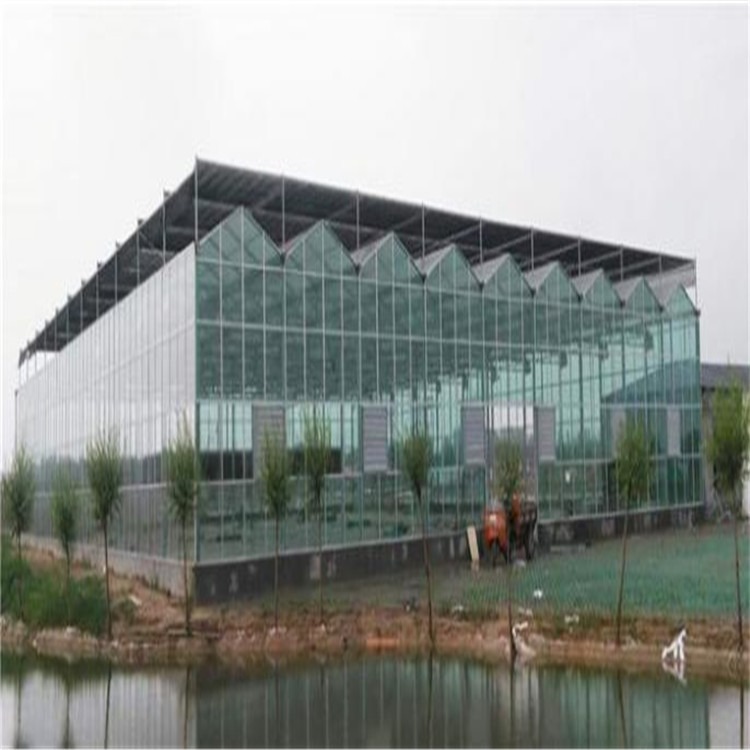 安徽玻璃温室大棚价格 玻璃恒温大棚平米造价 旭航温室工程建设厂家