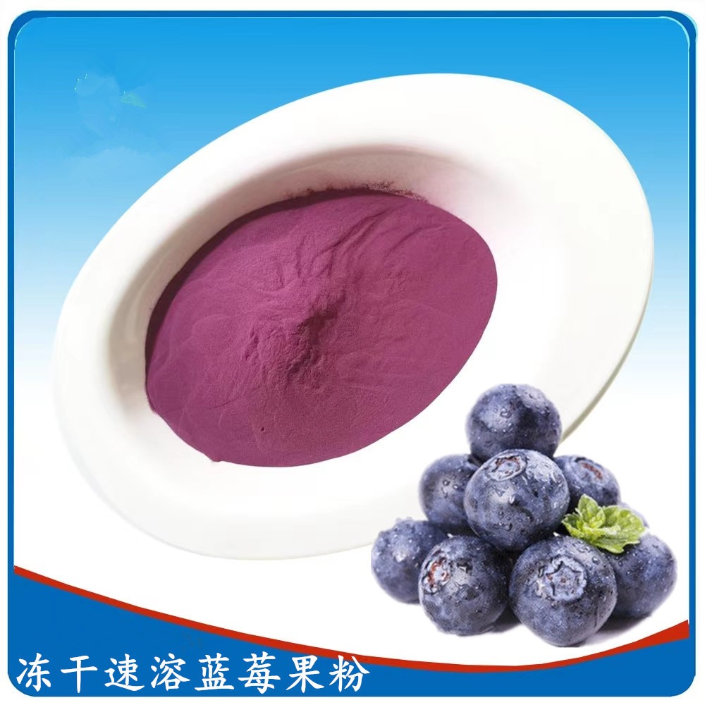 供应优质果蔬菜蓝莓粉 蓝莓粉生产厂家 食品级蓝莓粉