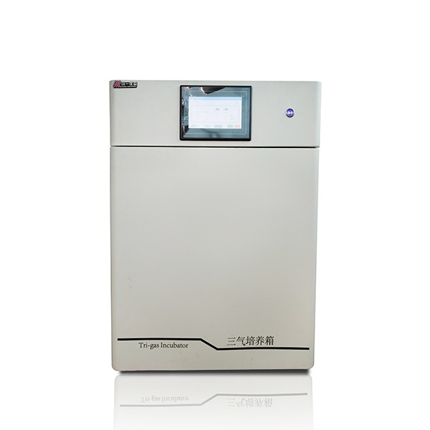 CYSQ-50-III 小型智能低氧细胞培养箱三气多种气体培养箱