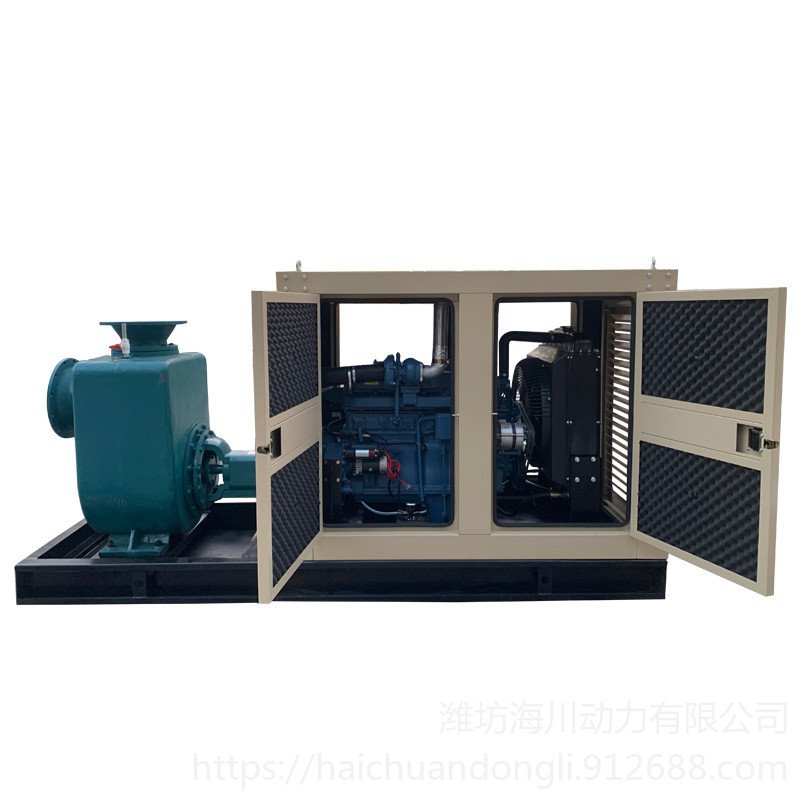 供应海川动力 自吸式水泵 柴油配自吸泵  柴油机水泵