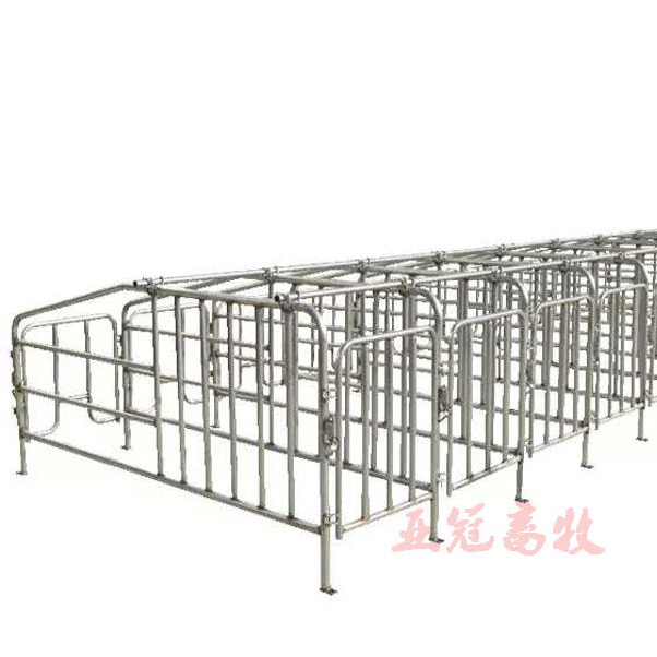 养猪设备 亚冠母猪定位栏 YG-2 10猪位 母猪限位栏 可自由组装