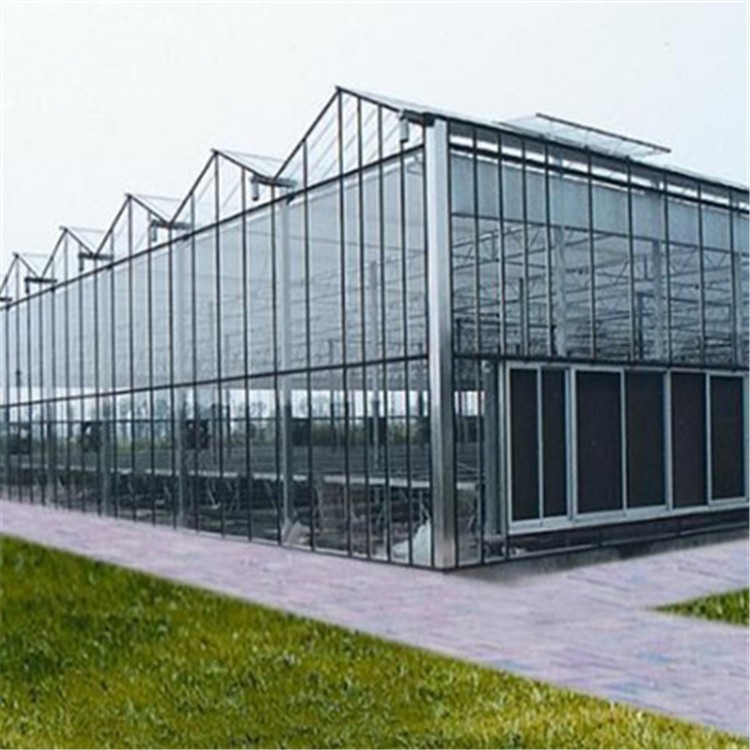 专业玻璃温室建设厂家 养殖鳄龟温室大棚旭航温室工程建设厂家