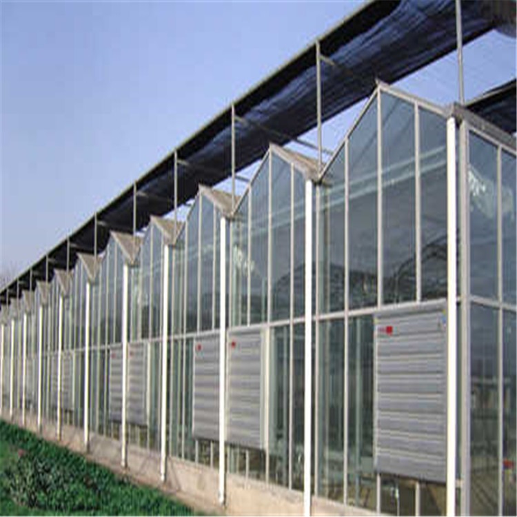专业的龙岩玻璃温室 甘肃连栋温室建设厂家 旭航温室大棚建设
