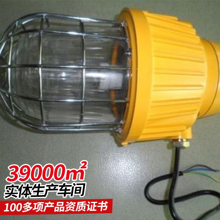 DGS70/127B(F)矿用隔爆型巷道灯 中煤生产定制 耐电压波动大 节能