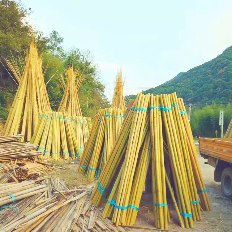 竹韵竹制品厂家大量批发防腐耐用竹竿 白竹规格可定制