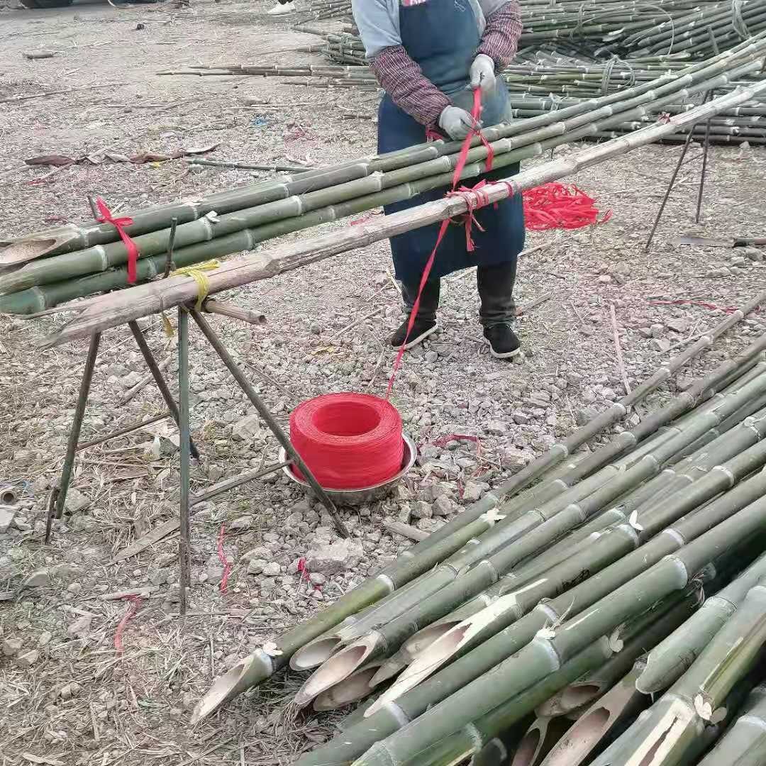 竹韵竹制品竹竿厂家上海树木支撑竿竹杆长短粗细可定制