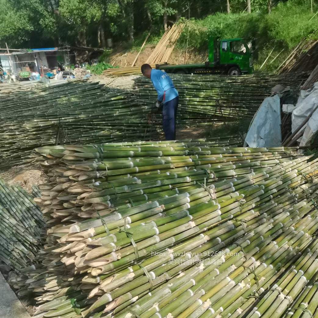 原产地批发 直度很好的树木支撑竹子批发市场