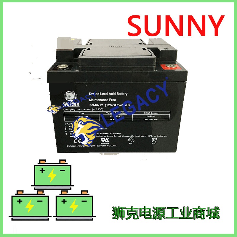 英国SUNNYMAY蓄电池SN65-12 银行系统后备UPS/EPS电源12V65AH电瓶
