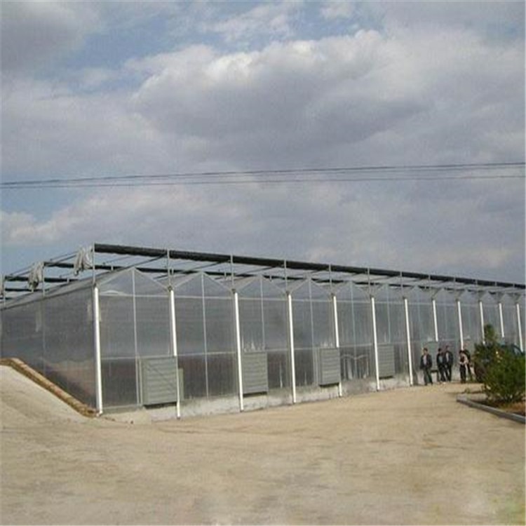 北京紫苏叶种植大棚 文洛阳光板温室旭航温室工程建设厂家图片