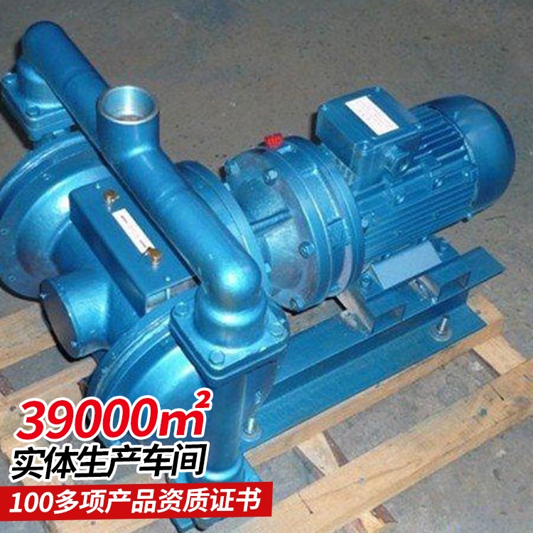 DBY系列电动隔膜泵 技术参数 传动效率高 不需灌引水 能自吸