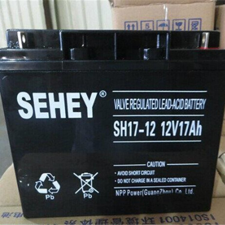 SEHEY西力蓄电池NP65-12 12V65AH胶体铅酸电瓶组免维护UPS不间断电源EPS直流屏应