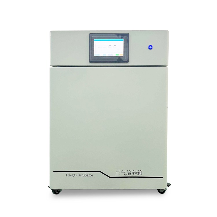 智能三气培养箱 CYSQ-100-III 多气体细胞培养箱  多种气体培养箱