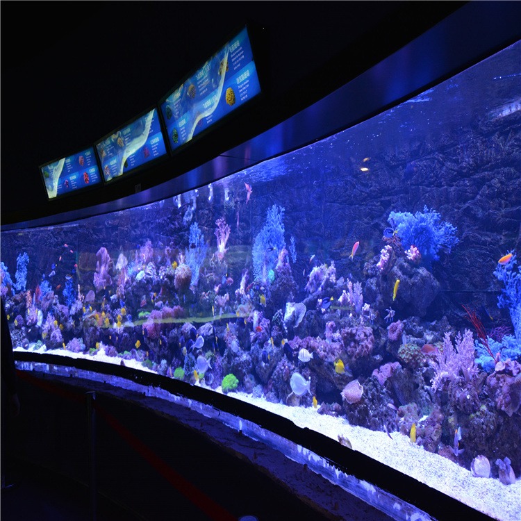 lanhu海洋馆施工大型鱼缸订制海洋馆亚克力鱼缸海洋馆水族缸设计