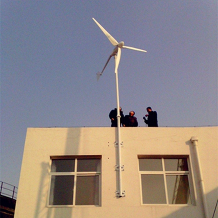 48V风力发电机家用 纯铜发电机进口轴承 保证质量 批发1KW风力发电机