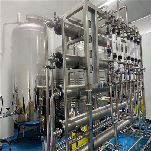 0.25吨制药纯化水上海纯化水设备 山东制药纯化水设备