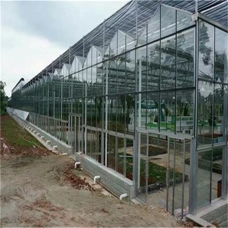 建设厂房大棚项目施工方案  临沂玻璃温室建设 旭航