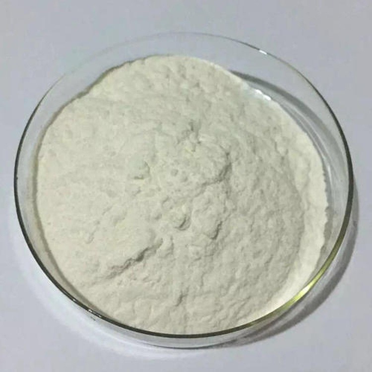 雪龙瓜尔胶食品级 瓜尔豆胶增稠剂 瓜尔豆胶供应商
