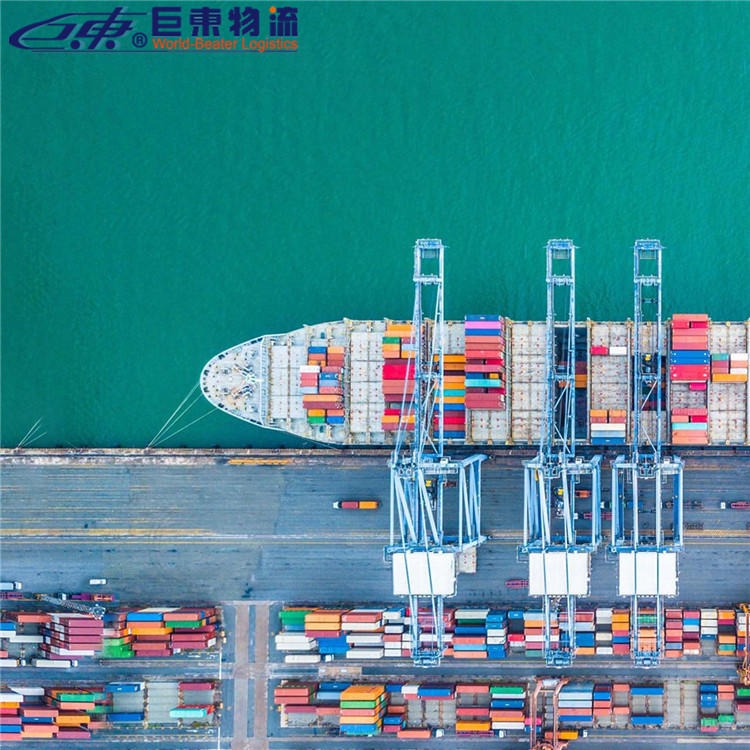 阿拉伯海运专线 厦门国际海运专线 巨东物流13年海运服务专业可靠