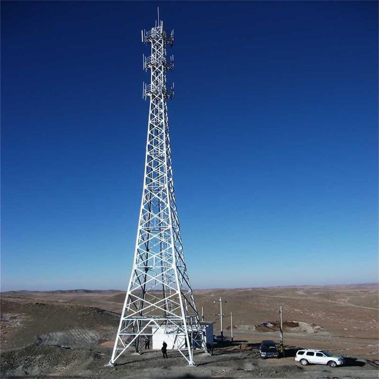 泰翔设计生产5米-120米发射通讯塔批发 三管通信塔价格 美化树通信塔 质保30年