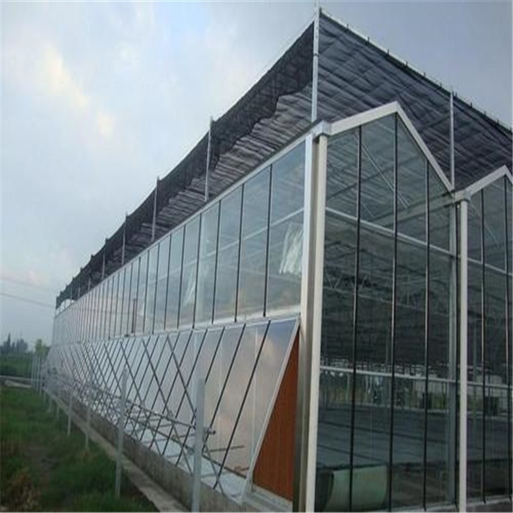 安溪养殖大棚厂家 玻璃温室大棚造价  旭航温室大棚建设图片