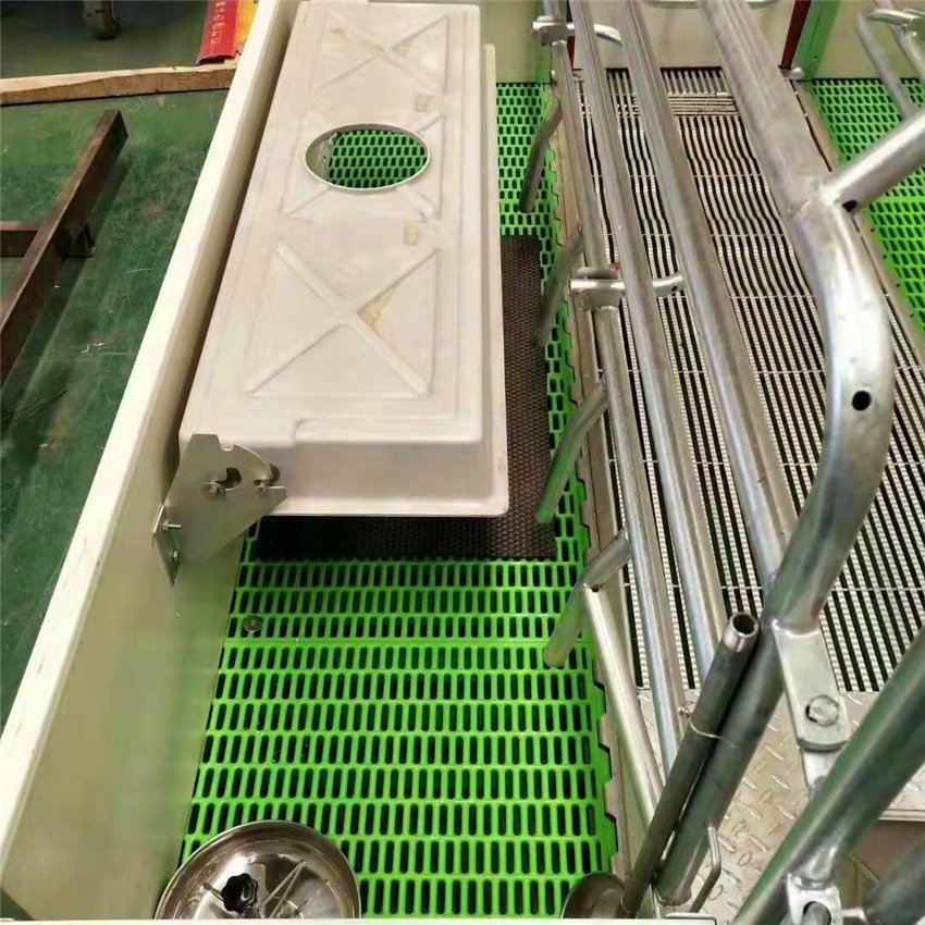 猪产床欧式PVC板 母猪防压产床 双体产育一体床 猪哈哈机械设备