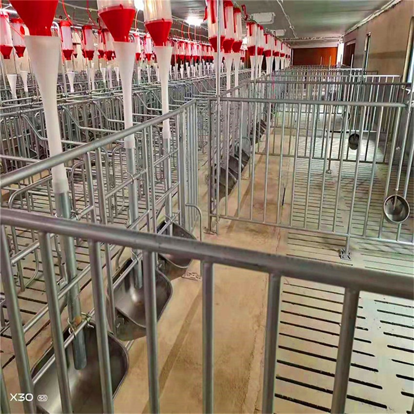 养猪设备自动化 自动化养猪设备 养猪设备厂家 猪哈哈厂家批发零售