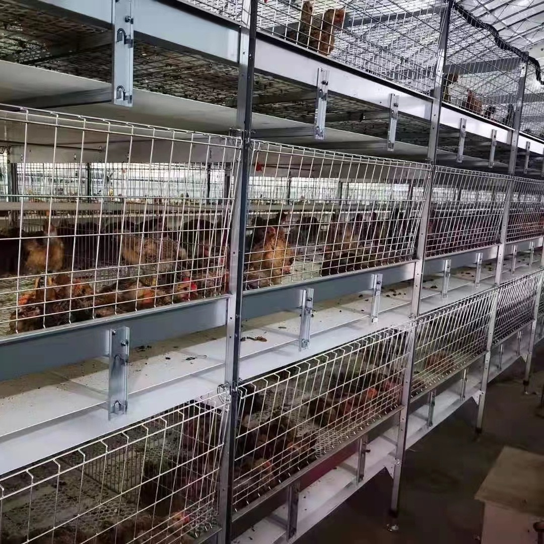肉鸡笼 层叠式 阶梯式 龙门喂料机 清粪机 智能化养鸡设备大全一站式采购厂家 让您轻松养鸡 柏业